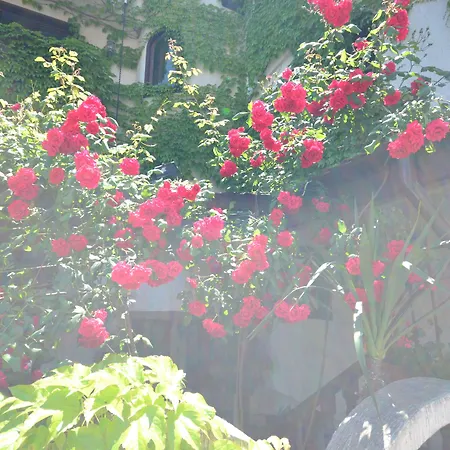 Hotel Family Sozopol