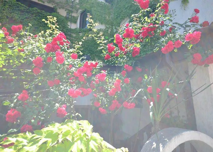 Szálloda Family Szozopol